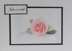 SO�ALNICA TISKANA C08