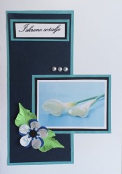 TELEGRAM SO�ALNICA A25 (ro�no delo)