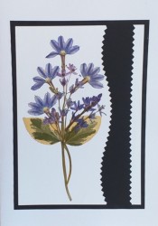 TELEGRAM SO�ALNICA SUHO CVETJE C21 (ro�no delo)